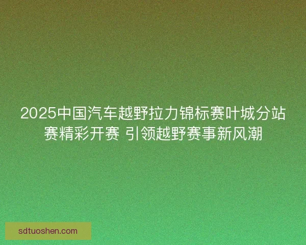 2025中国汽车越野拉力锦标赛叶城分站赛精彩开赛 引领越野赛事新风潮