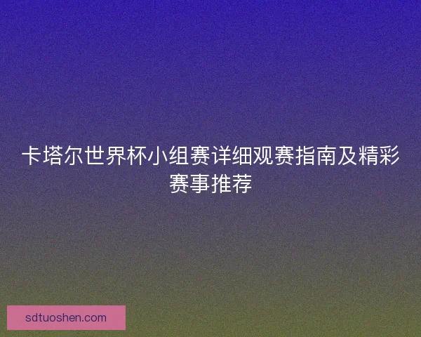 卡塔尔世界杯小组赛详细观赛指南及精彩赛事推荐